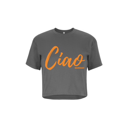 CIOA GAME DAY | CROPPED T-SHIRT | ORANGE CHIC LOVE